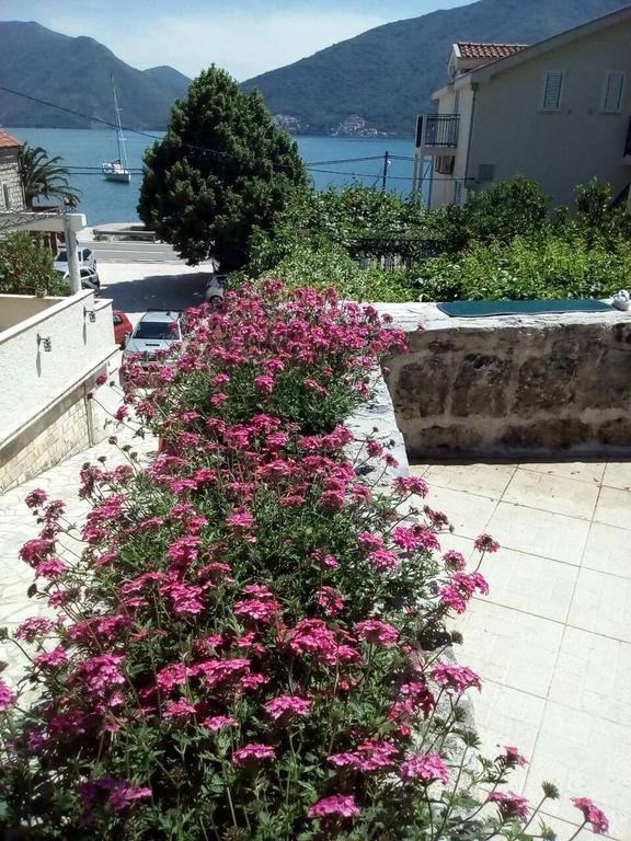 Apartmani Villa Radovic Risan Εξωτερικό φωτογραφία